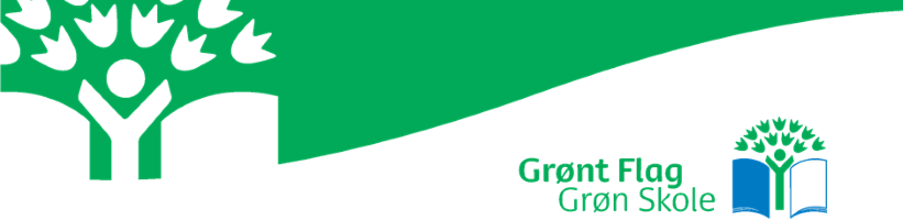 Grønt flag